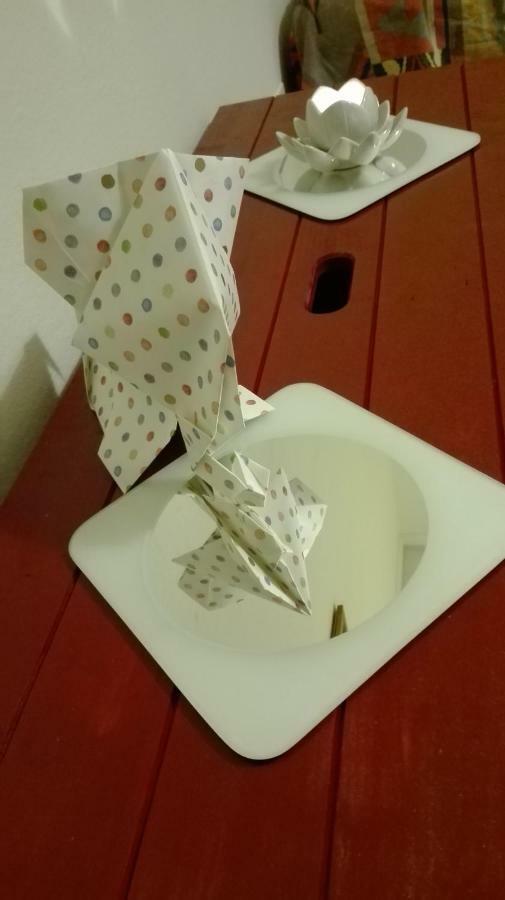 ピサ Casa Millegrueヴィラ エクステリア 写真